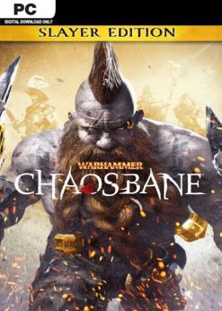 Buy Warhammer: Chaosbane Slayer Edition PC (Steam)