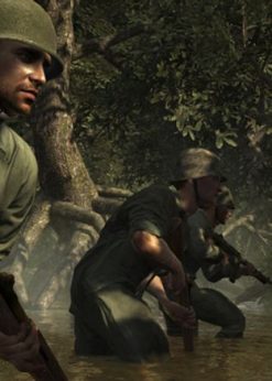 Alternative view of Call of Duty (COD) World at War PC (Steam)