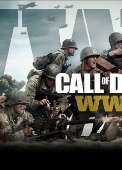 Alternative view of Call of Duty WWII PC (EU & UK) (Steam)