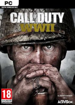 Buy Call of Duty WWII PC (EU & UK) (Steam)