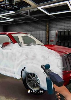 Alternative view of Car Detailing Simulator PC (Steam)