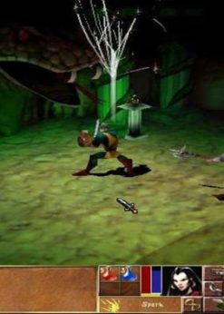 Alternative view of Darkstone PC (Steam)