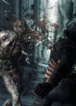 Alternative view of Dead Space 2 PC (Origin)