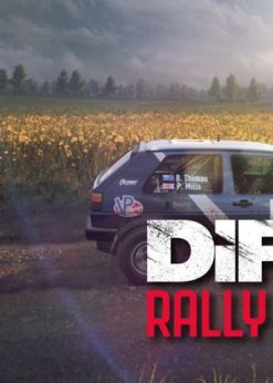 Alternative view of Dirt Rally 2.0 PC DLC (Steam)