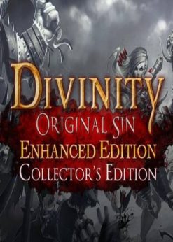 Buy Divinity: Original Sin - Enhanced Edition Collector's Edition PC (GOG.com)