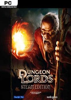 Buy Dungeon Lords Steam Edition PC (Steam)