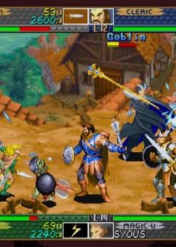 Alternative view of Dungeons & Dragons: Chronicles of Mystara PC (EU & UK) (Steam)