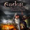 Купить Эадор. Мастера Расколотого Мира PC (Steam)