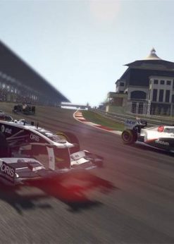 Alternative view of F1 2011 PC (Steam)