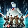 Купить Ghostbusters: The Video Game Remastered PC (Steam)
