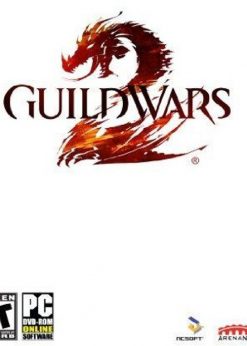 Alternative view of Guild Wars 2 Digital Deluxe (PC) (ArenaNet)