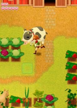 Alternative view of Harvest Moon -  Light of Hope Switch (EU & UK) (Nintendo)