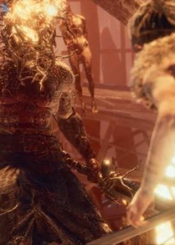 Alternative view of Hellblade: Senua's Sacrifice PC (Steam)