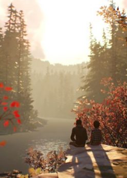 Alternative view of Life is Strange 2 - Episode 1 PC (Steam)