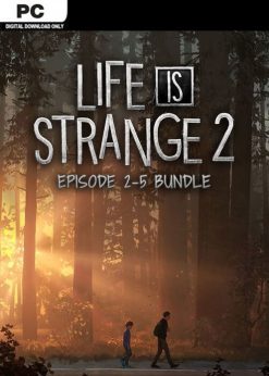Buy Life is Strange 2 - Episodes 2-5 Bundle PC (Steam)