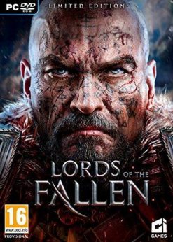 Купить Lords of the Fallen PC (Steam)