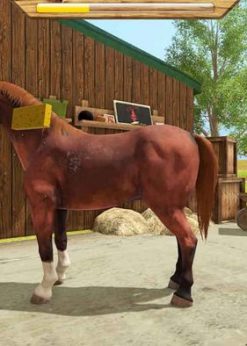 Alternative view of My Little Riding Champion Switch (EU & UK) (Nintendo)