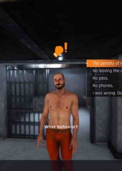 Alternative view of Prison Simulator PC (Steam)