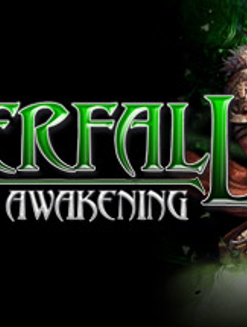 Купить Silverfall Earth Awakening PC (Steam)