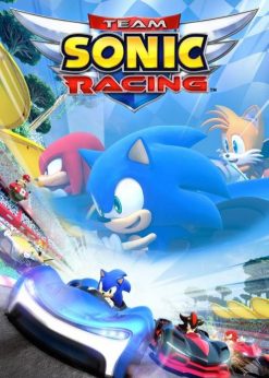 Buy Team Sonic Racing Switch (EU) (Nintendo)