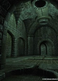 Alternative view of The Elder Scrolls IV: Oblivion - Game of the Year Edition Deluxe PC (GOG) (GOG.com)