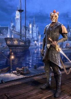 Alternative view of The Elder Scrolls Online Summerset Upgrade PC + DLC (The Elder Scrolls Online)