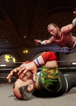 Alternative view of WWE 2K Battlegrounds PC (EU & UK) (Steam)