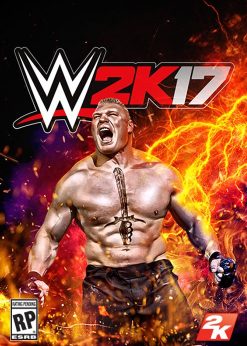 Buy WWE 2K17 PC (EU & UK) (Steam)