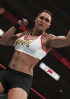 Alternative view of WWE 2K19 PC (Steam)