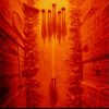 Buy Wasteland 1 - The Original Classic PC (GOG.com)