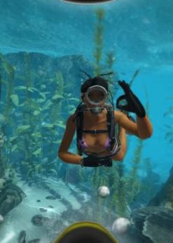 Alternative view of World of Diving PC (Steam)